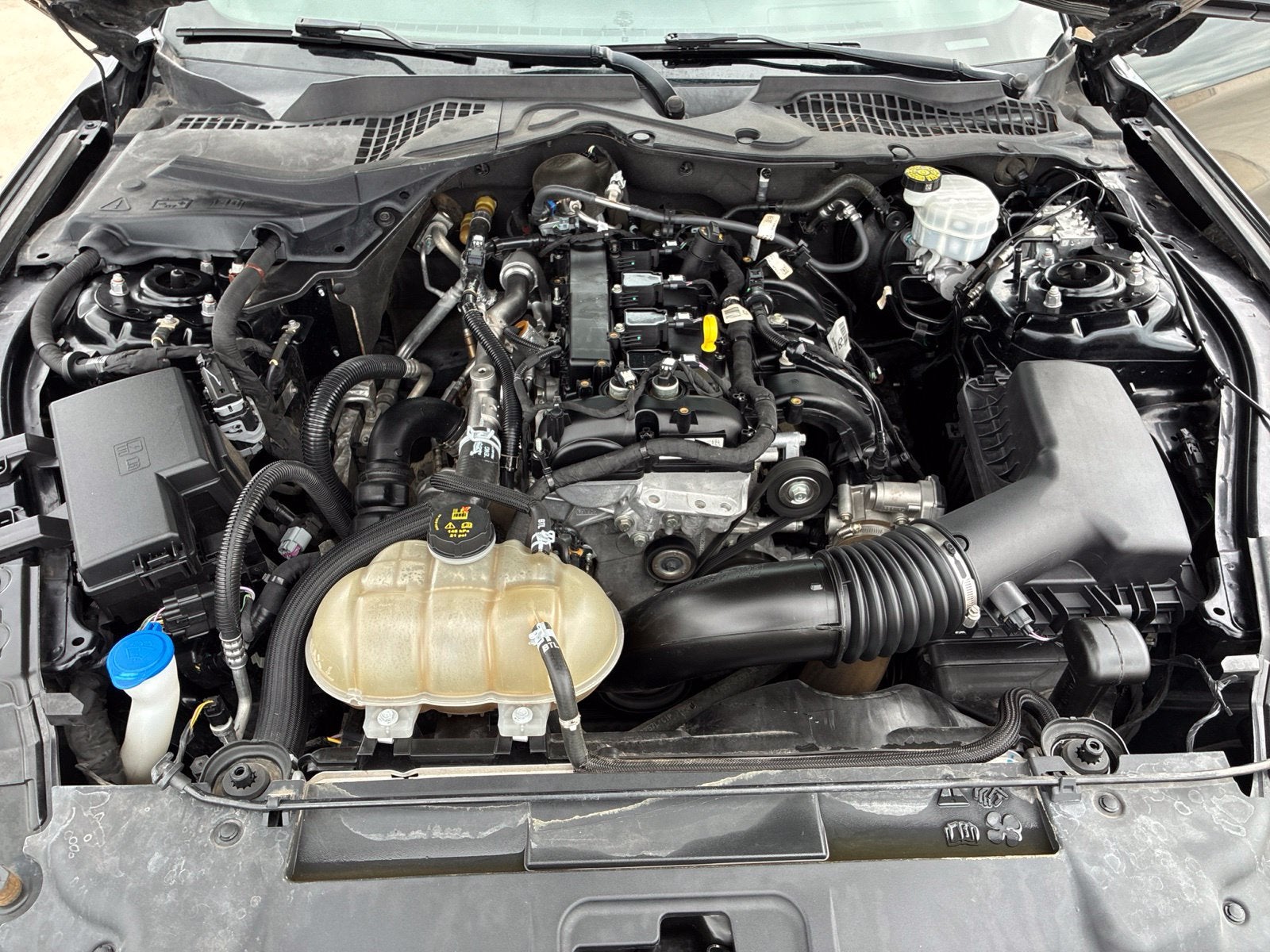 2023 Ford Mustang EcoBoost