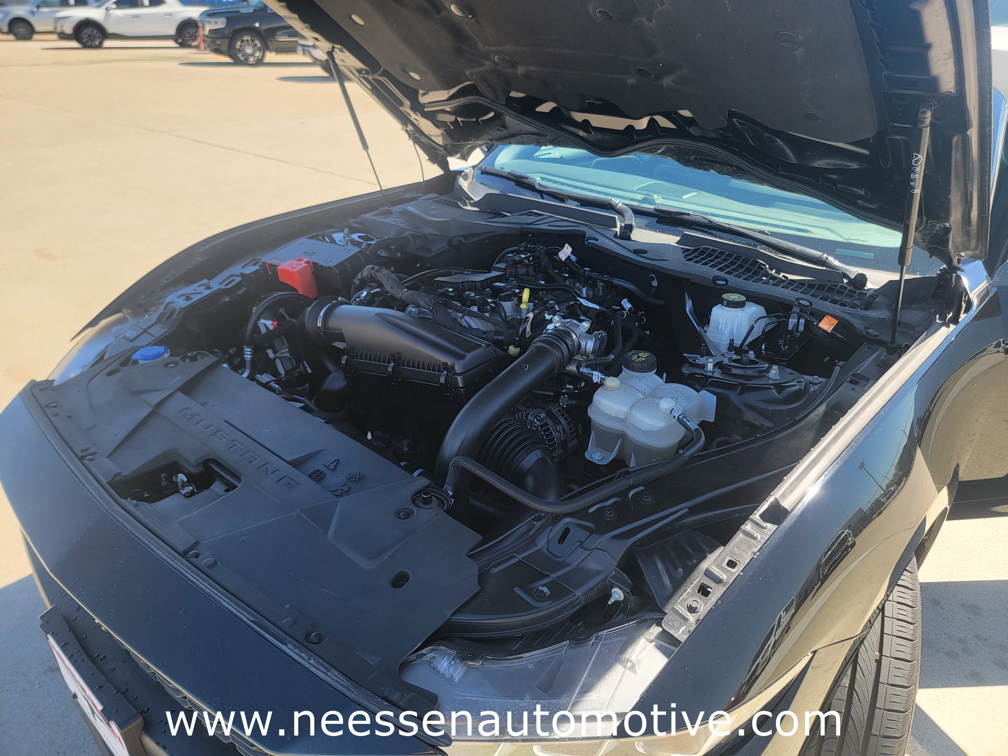 2024 Ford Mustang EcoBoost