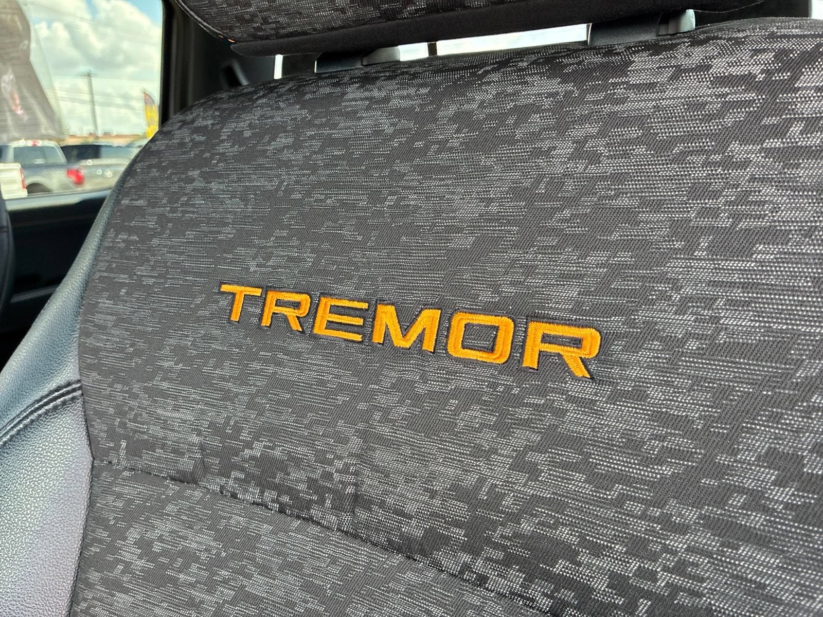2025 Ford F-150 Tremor - Photo 22