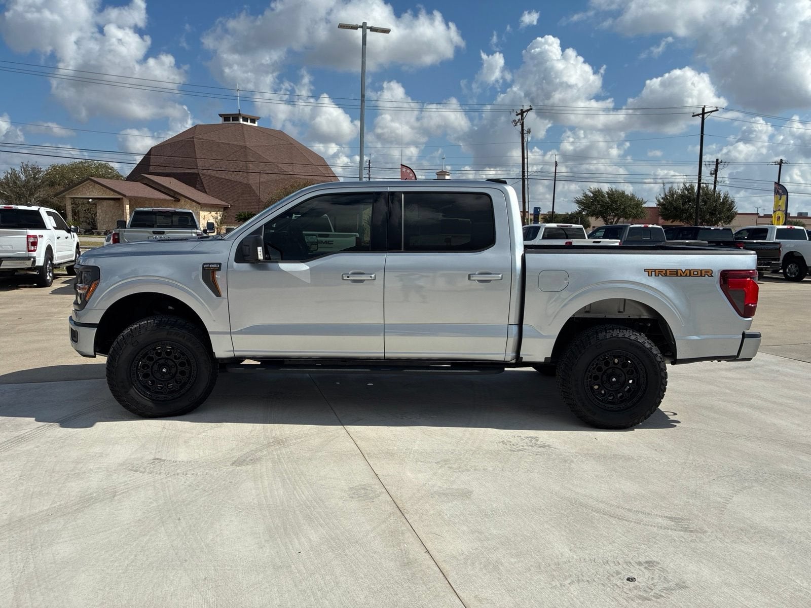 2025 Ford F-150 Tremor - Photo 4